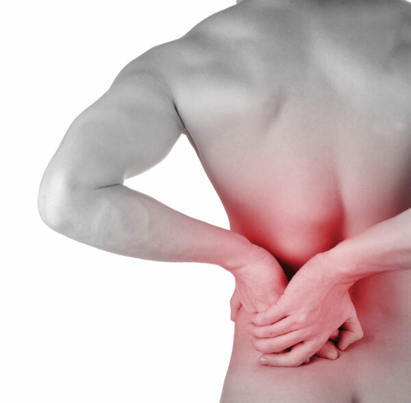 Menezes Method Back Pain Workshop