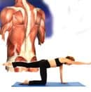 Functional Pilates Therapy Movement for Practitioners x2. Save $125