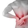 Menezes Method Back Pain Workshop