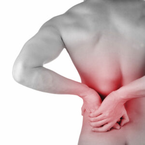 Menezes Method Back Pain Workshop