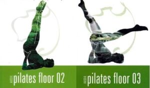 Floor (Mat) 2 & 3 eBook