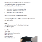 Menezes Method Back Pain Workshop - Image 3