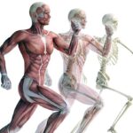 Pilates Ultimate Theory On-line Course - Image 2