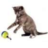 Cat Treat Balls