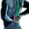 Menezes Method Back Pain Workshop - Image 5